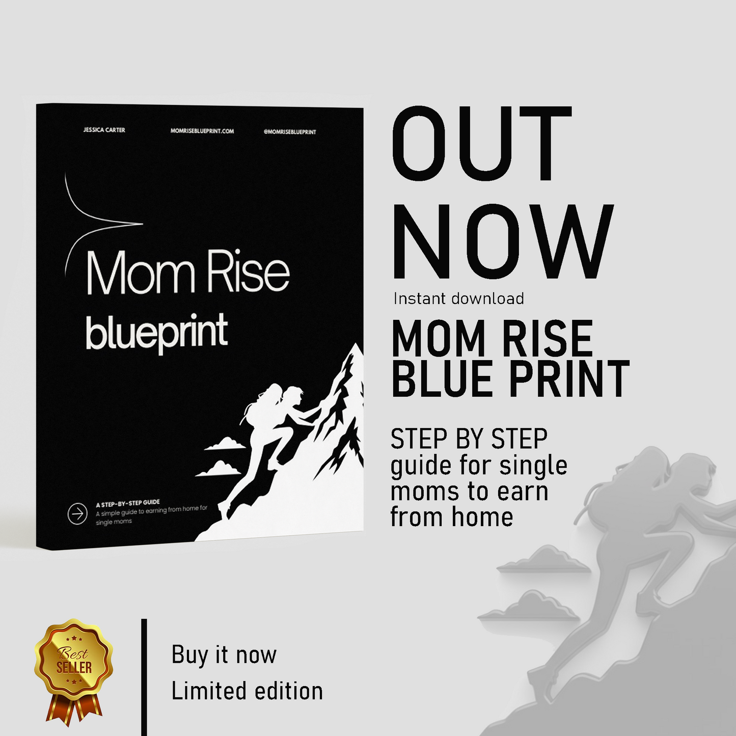 MomRise Blueprint